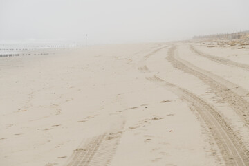 Foggy beach in the early morning