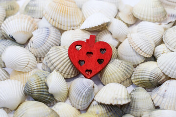 red wooden heart lies on ribbed seashells.