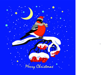Santa Claus-bullfinch and snow.
