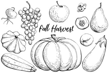 Outline isolated vegetables set
