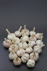 Bulbs of garlic (Allium sativum) on black background. Flat lay concept