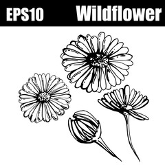 Outline isolated wildflower set