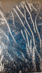 the frosty patterns on the window