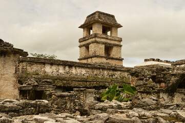The old ruins of the Mayan town of Palenque in Chiapas, Mexico