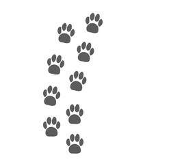 Footprints steps of animal footpath trail vector, foot print path route track of dog paw or cat pictogram on white background