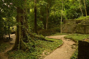 The old ruins of the Mayan town of Palenque in Chiapas, Mexico