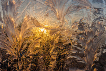 the frosty patterns on the window