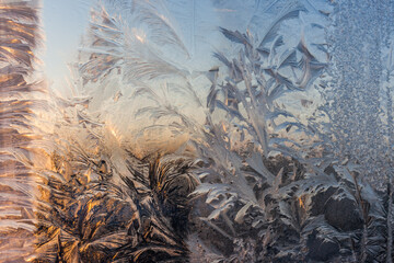 the frosty patterns on the window