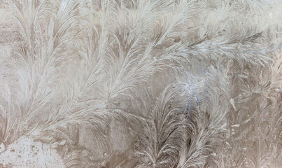 the frosty patterns on the window