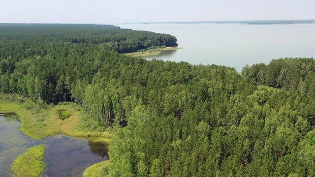 Aerial video of forest boggy lake in the Karakansky pine forest near the shore of the Ob reservoir.