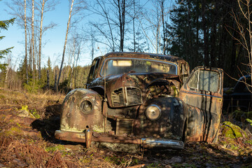 Fototapeta na wymiar Old English car abandoned in a forest in Sweden, left to decay and pollute the environment