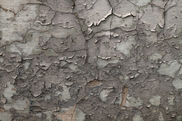 Old gray color wall painted with peeled aged paint texture