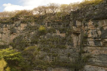 Sailing on the river through the stunning Sumidero Canyon in Chiapas, Mexico