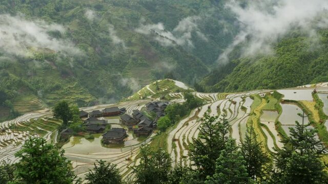 Village and Terraced Rice Field in the Fog - Jiabang, Guizhou Province, China.