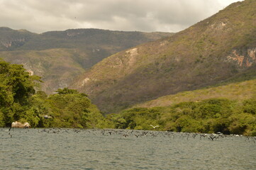 Sailing on the river through the stunning Sumidero Canyon in Chiapas, Mexico