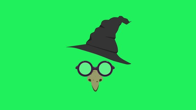 Animation face mask witch on green background.
