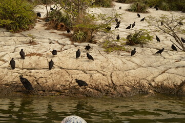 The steep and beautiful Sumidero Canyon in Chiapas, Mexico