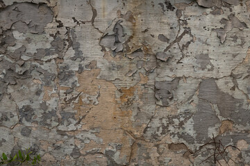 Old gray color wall painted with peeled aged paint texture