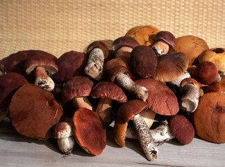 A pile of noble forest mushrooms boletus and red cap boletus lying on a wooden board