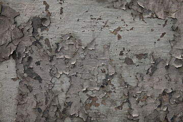 Old gray color wall painted with peeled aged paint texture