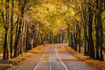 Autumn winding alley with a silhouette of a walking mother with a baby carriage.