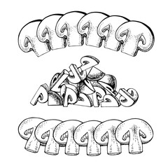 Vector set of champignon mushrooms, black and white graphics drawn in vintage style, engraving, gourmet cuisine, vegetarian, autumn mushrooms isolated on a white background for print, cookbook