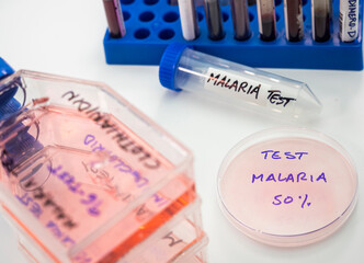 Laboratory research on the insecticide clothianidin, cause of malaria disease through The Anopheles family of malarial mosquitoes, conceptual image