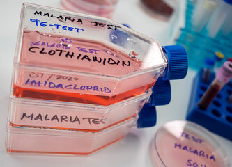 Laboratory research on the insecticide clothianidin, cause of malaria disease through The Anopheles family of malarial mosquitoes, conceptual image