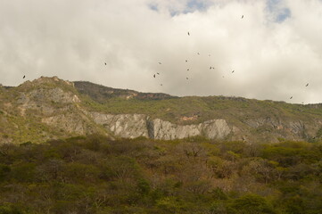 The dramatic and deep Sumidero Canyon in Chiapas, Mexico