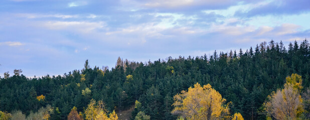 Scenic view of autumn trees against cloudy sky in forest