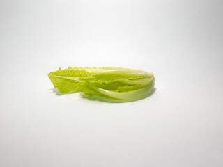 Fototapeta premium Lettuce