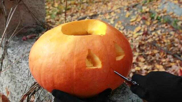 Women's hands in black gloves cut out the scary face of Jack - o ' - lantern on a Halloween pumpkin with a knife. Witch hands are preparing a pumpkin for a Halloween party in the autumn forest. 