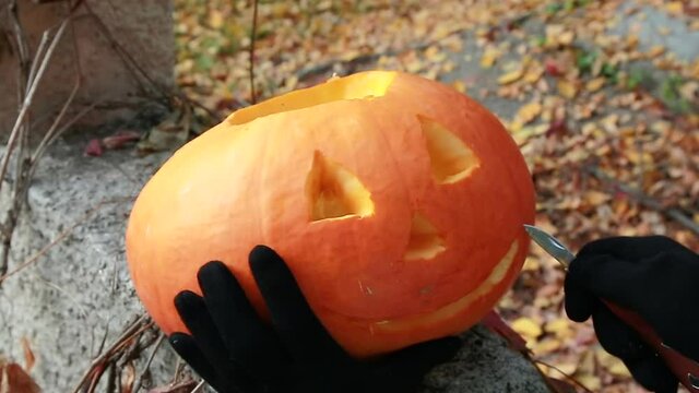 Women's hands in black gloves cut out the scary face of Jack - o ' - lantern on a Halloween pumpkin with a knife. Witch hands are preparing a pumpkin for a Halloween party in the autumn forest. 