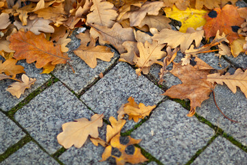 Texture of granite paving stones with flying brown and yellow tree leaves