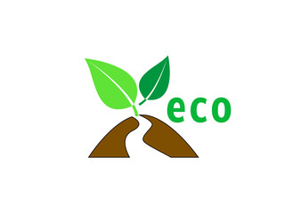 Blatt Keimling isoliert auf weißen Hintergrund