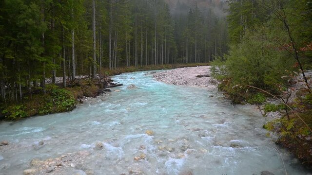 Stream flows in clean pristine landscape, Slovenia. Beautiful small river Triglavska Bistrica in untouched nature. Narrow Alpine valley on gloomy rainy autumn day. Static shot, real time, wide angle
