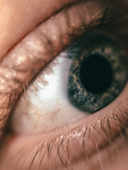 macro eye