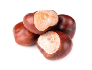 Horse chestnuts fruits, isolated on white background. Aesculus hippocastanum.
