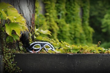 damska maska karnawałowa na schodach wśród drzew, trawy, bluszczu i winorośli