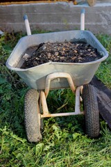 wheelbarrow in the garden