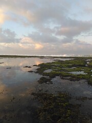 Beach scenary