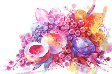 Fruit dessert on a white background. Peaches, grapes and plums. Colorful fruits drawn in watercolor. Ripe fruit.