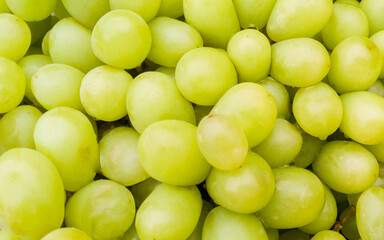 Sweet grapes shop display in market