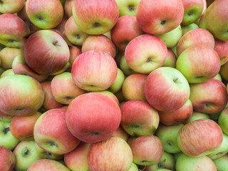 Seasonal delicious sweet apple  shop display