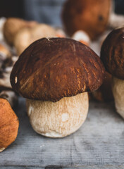 Piękny naturalny grzyb Prawdziwek