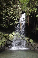 fallwater Dominica - 385947966