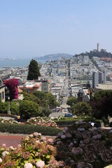 die kurvigste Stra&szlig;e in San Francisco 