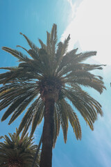 Sommer in Miami Beach