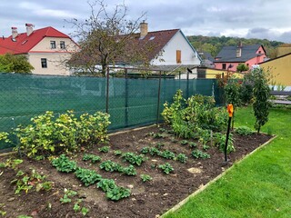 Autumn garden with spade