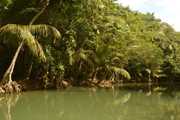 The stunning island of Dominica in the Caribbean